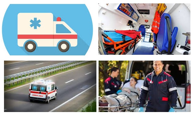 Curso Online Técnico En Transporte Y Emergencias Sanitarias